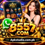 8557 Game preview icon