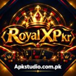 ROYAL X PKR Game APK preview icon
